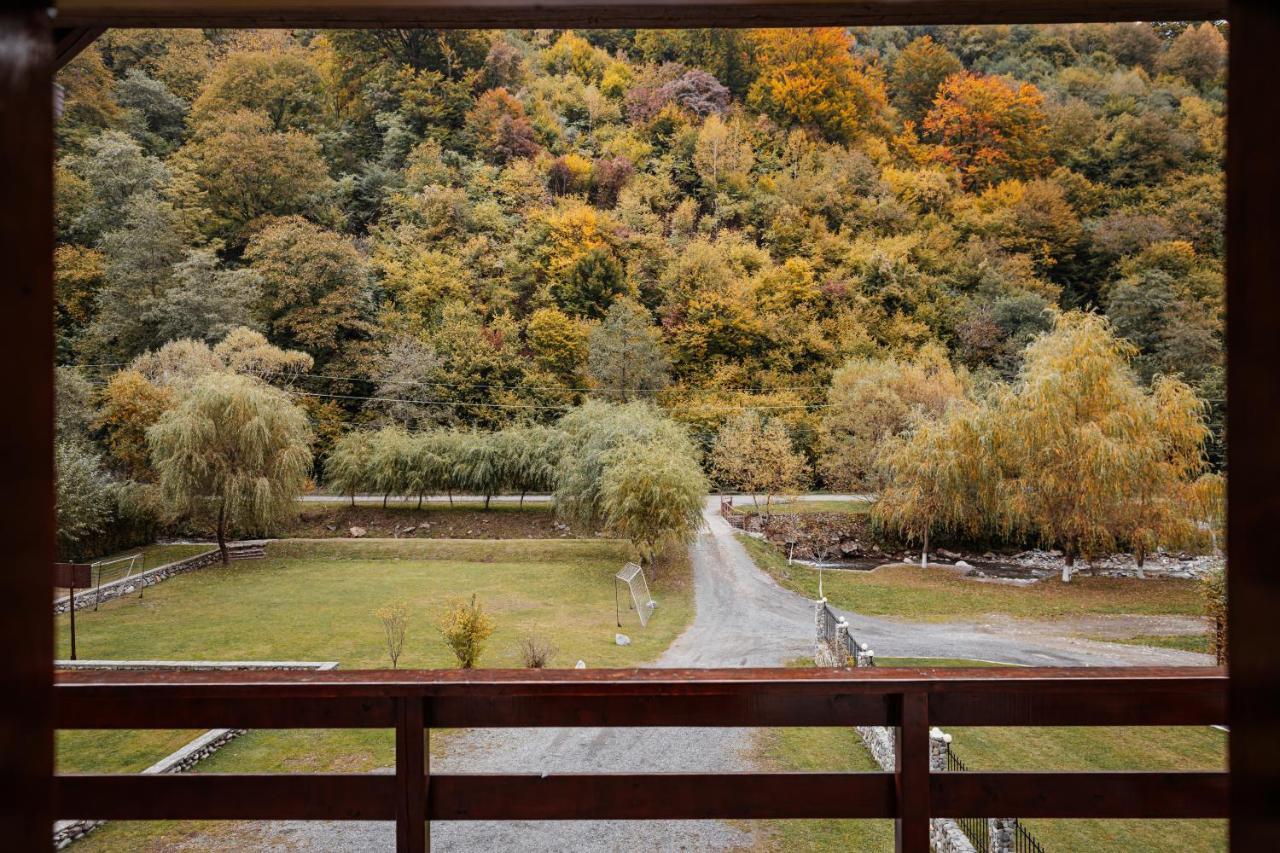 Casa Ardeleana 호텔 Lotrioara 외부 사진