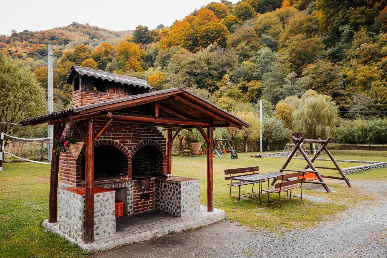 Casa Ardeleana 호텔 Lotrioara 외부 사진